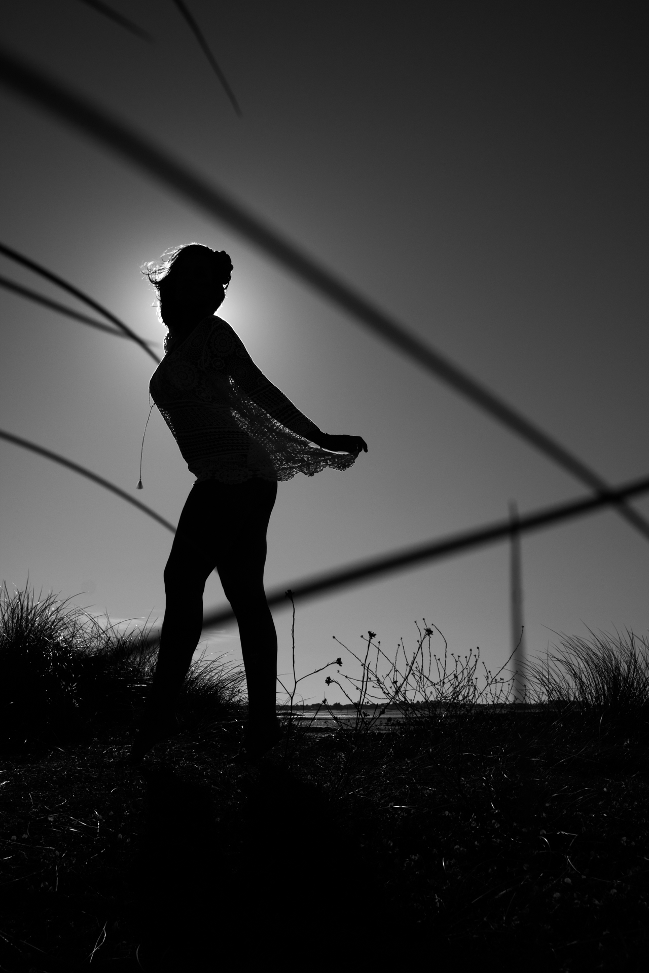 L' Oeil Noir Photographie